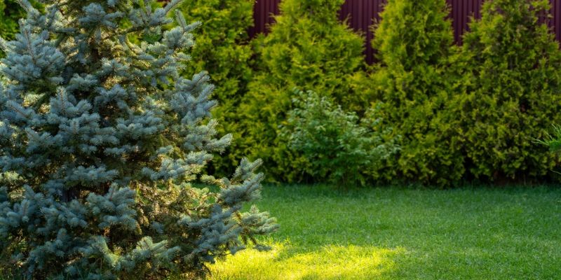 How to Maximize the Benefits of Your Landscape