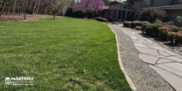 Landscape Design Services
