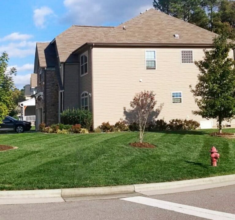Landscape Design