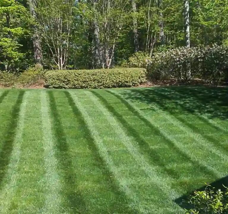 Lawn Care Services