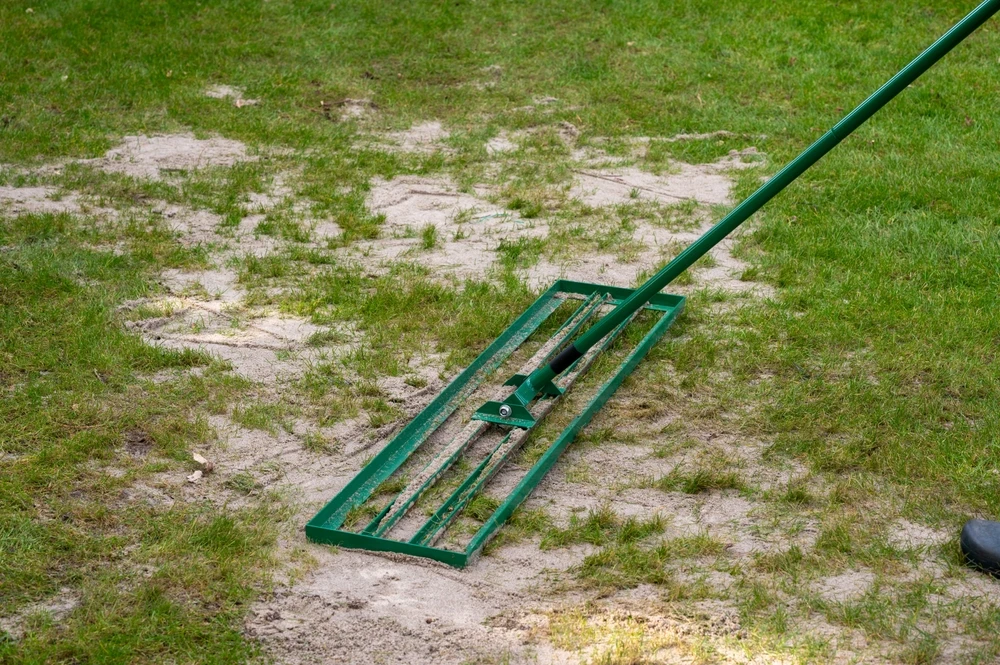 Overseeding
