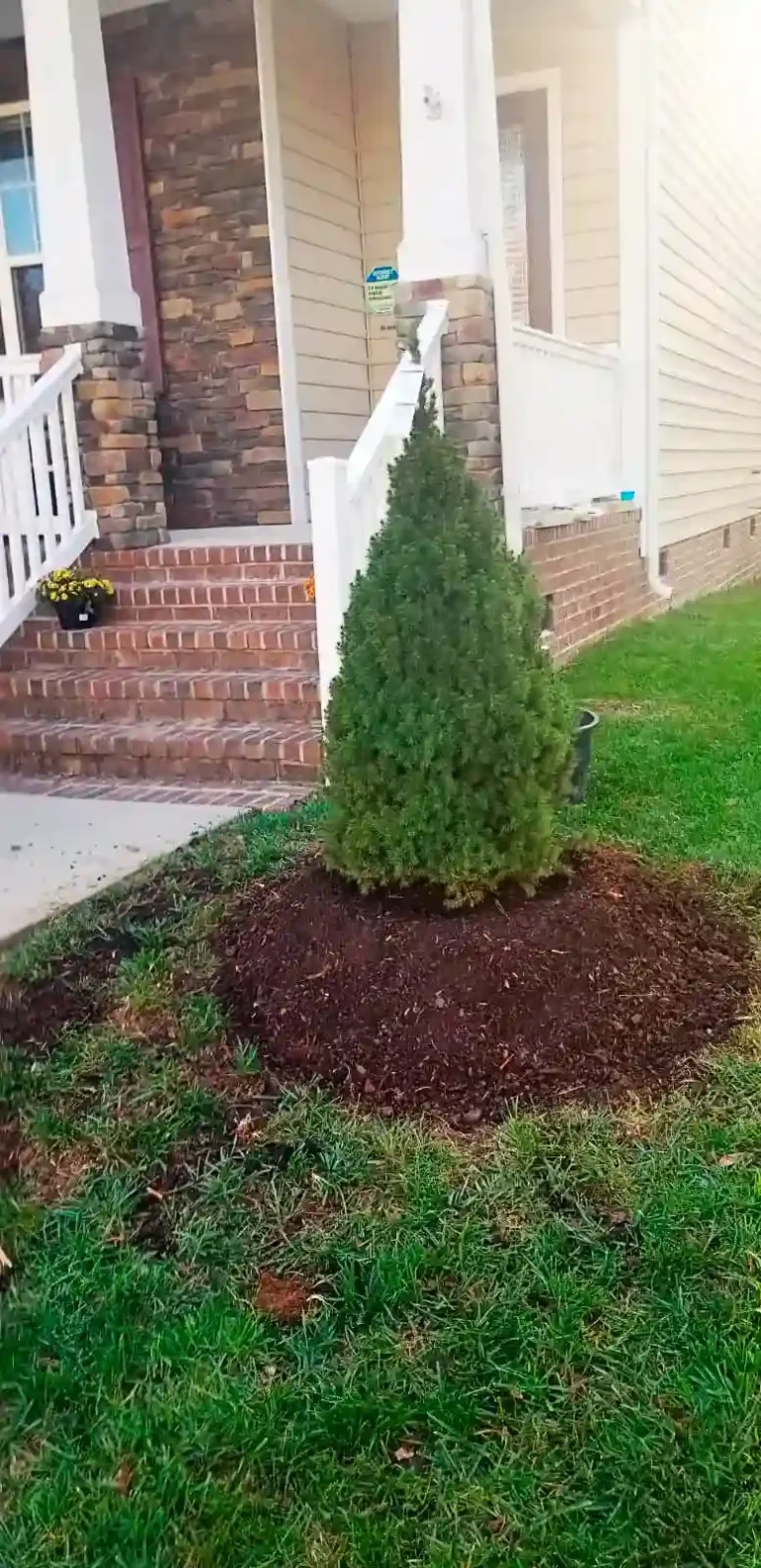 Professional landscapers