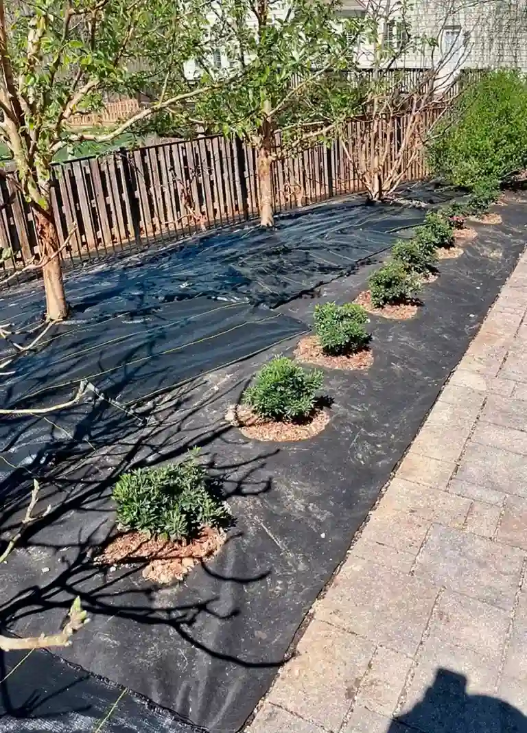 Planting in spring