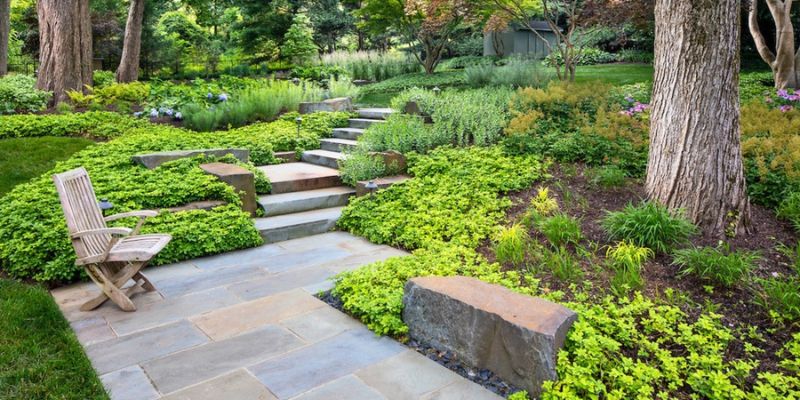 Provides Shade and Lowers Energy Costs