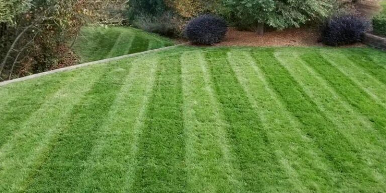 Sod Installation Services
