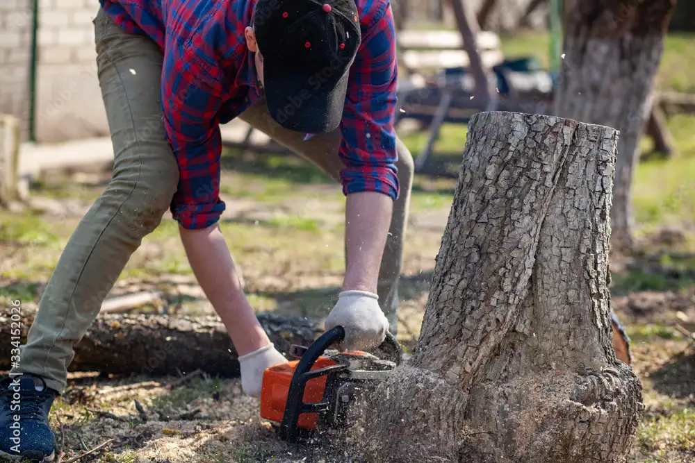 Stump grinding