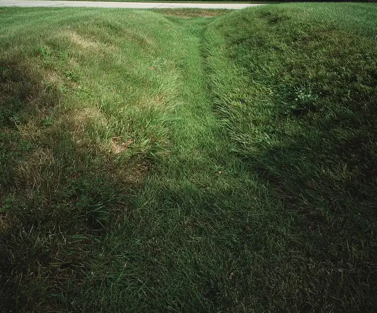 A swale, a grass lined channel, is a yard drainage service solution to help with water runoff.