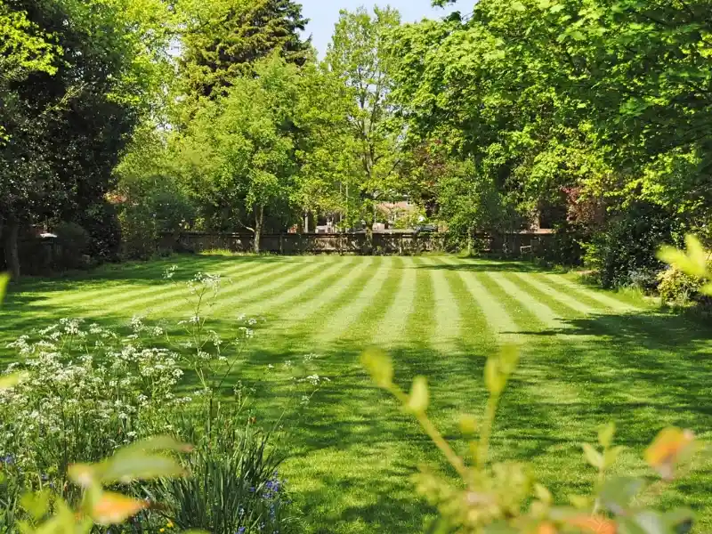 Freshly mown lawn with stripes and summer garden. lawn fertilization and weed control, does aeration help with weeds, should i kill weeds before aerating, aerate before or after seeding