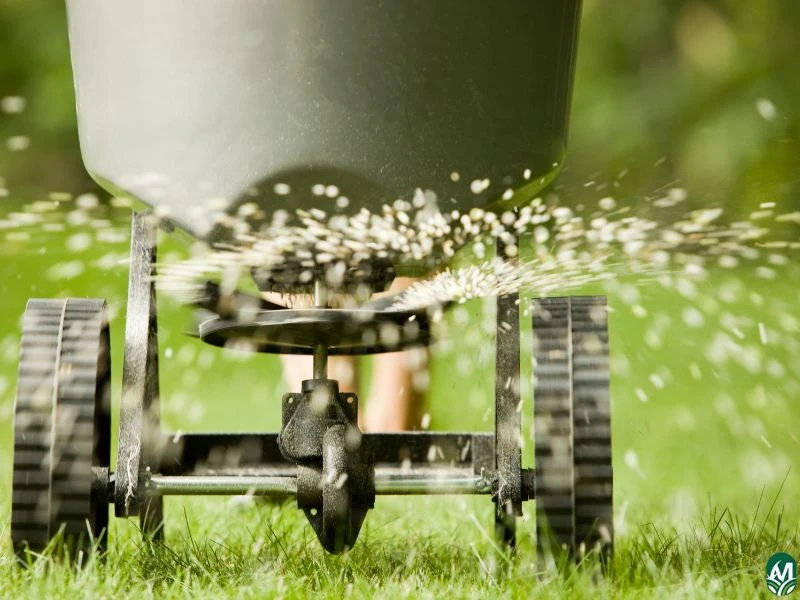 A fertilizer spreader provides lawn fertilization services to a yard.