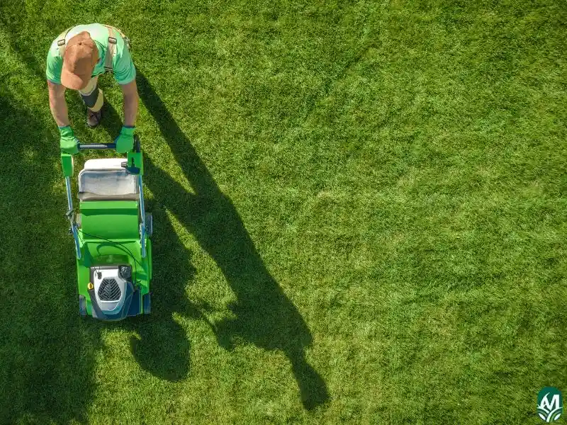 An overhead view of a man moving a lawn. This image is for the page Lawn Maintenance Services in Durham.